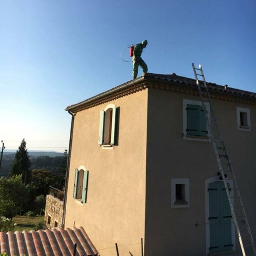 Intervention par le toit pour destruction nid de guêpes Intervention par le toit pour destruction nid de guêpes