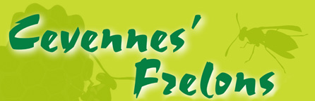 Cevennes Frelons
